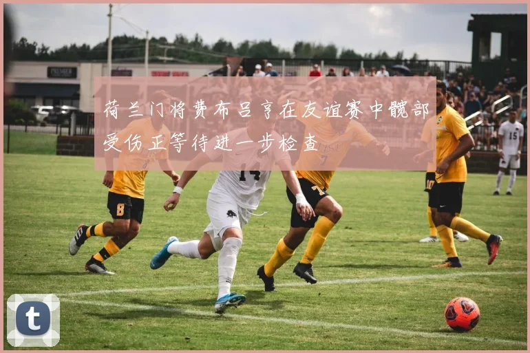 荷兰门将费布吕亨在友谊赛中髋部受伤正等待进一步检查